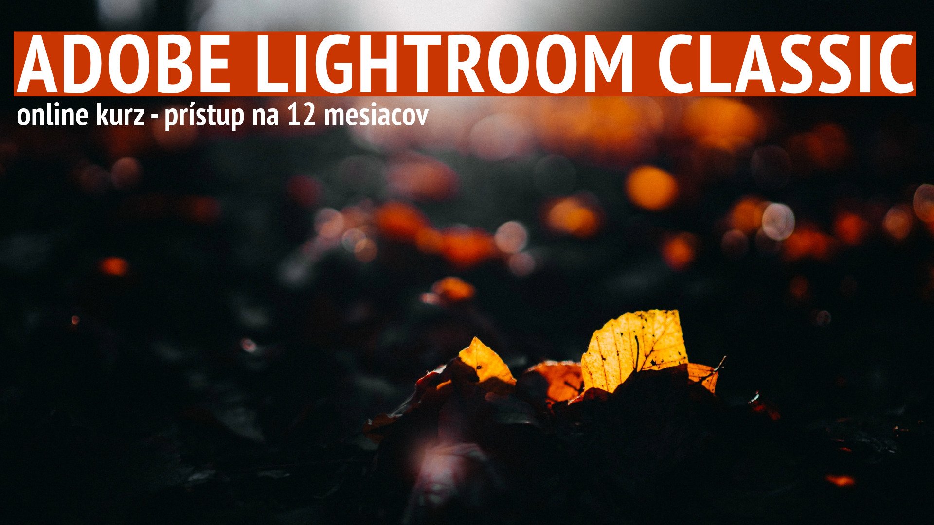 Adobe lightroom classic